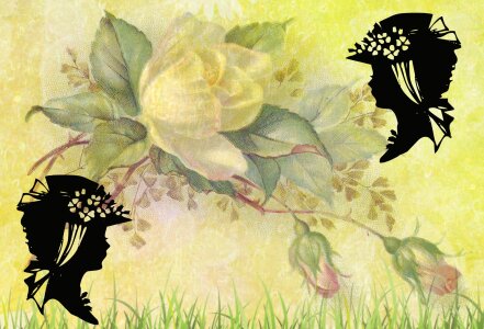 Garden ornato ornamental