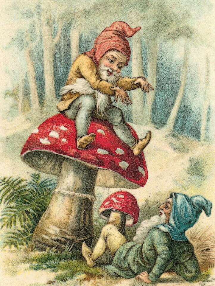 Forest fantasy fairy tales
