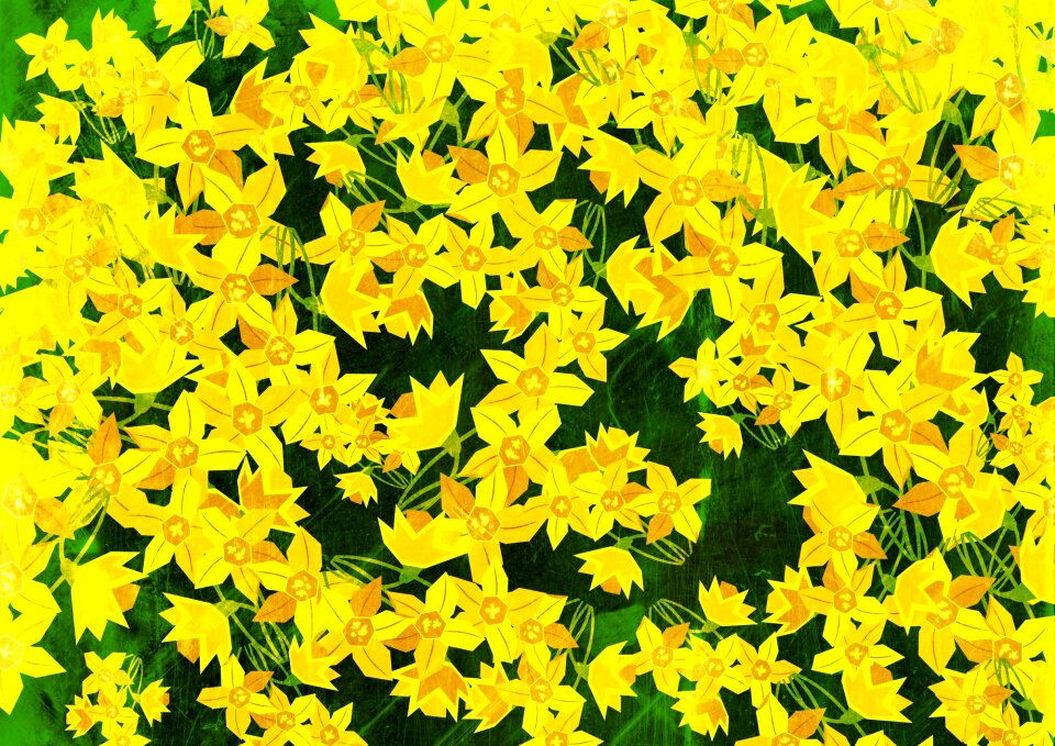 Nature botanical blooming