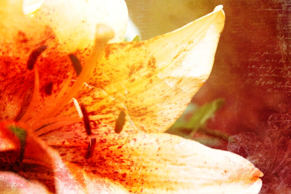 Artistically background blossom