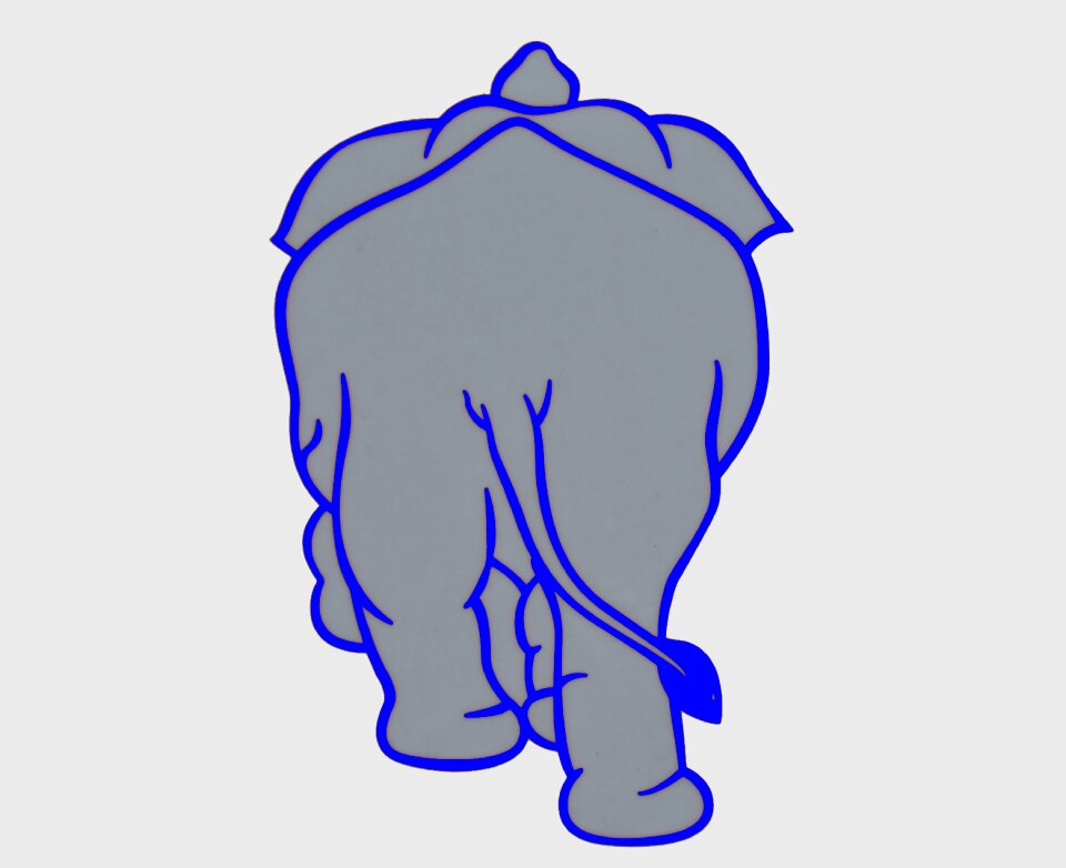 Wildlife africa icon