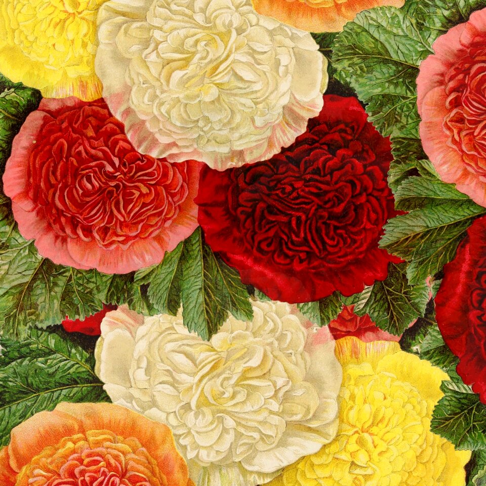 Orange red bouquet