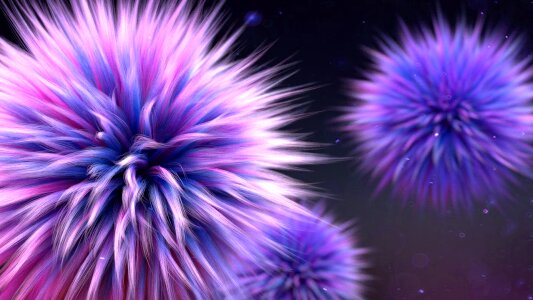 Dr seuss lorax