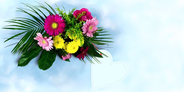Thank you colorful flora