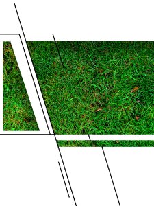 Meadow green pattern