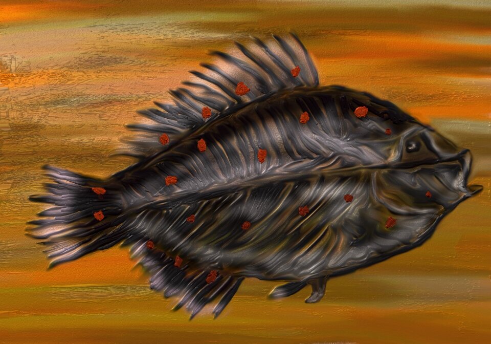Sea baltic sea Free illustrations