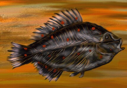 Sea baltic sea Free illustrations