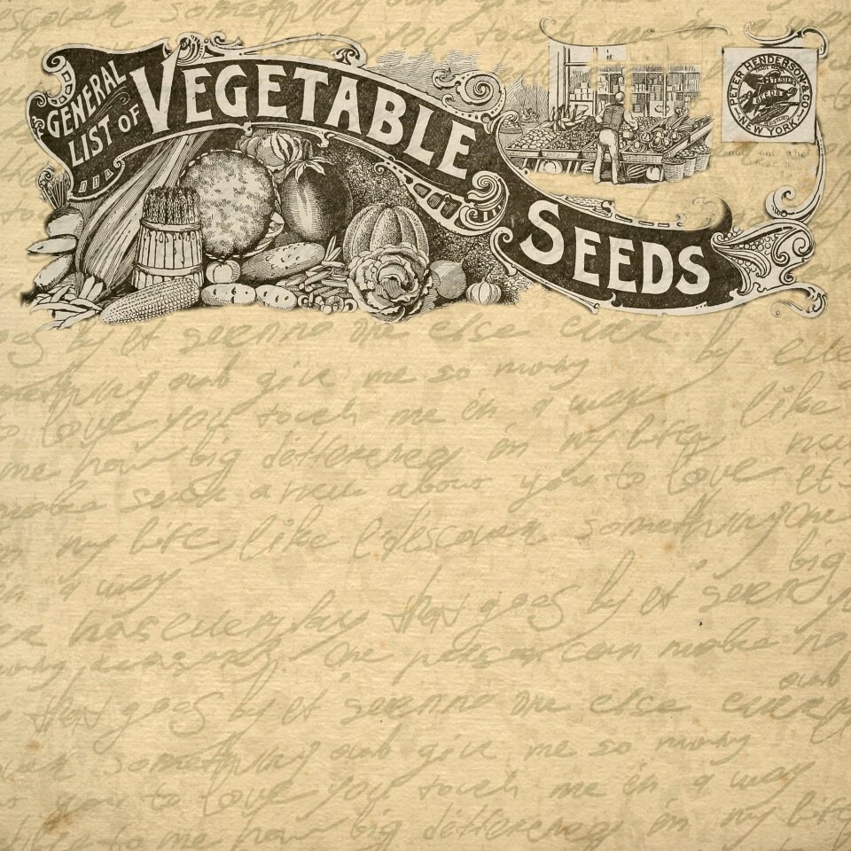 Seeds vegetable advertisement