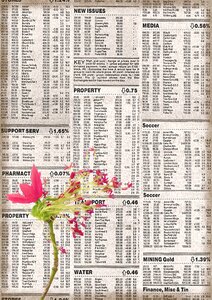 Newspaper plant flowers