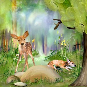 Wild young deer cute
