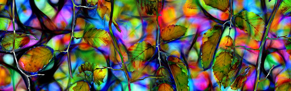 Color pattern structure