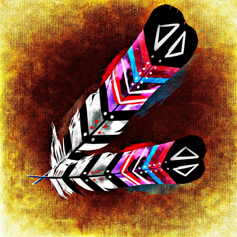 Plumage colorful Free illustrations