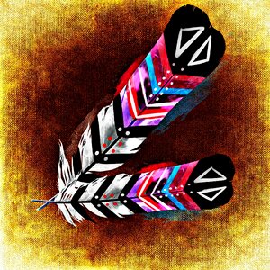 Plumage colorful Free illustrations