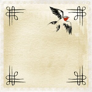 Asian bird grey