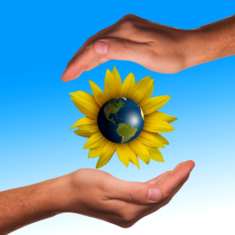 Sunflower globe earth