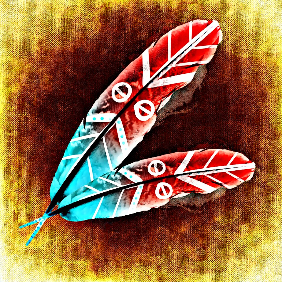 Plumage colorful Free illustrations
