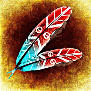 Plumage colorful Free illustrations