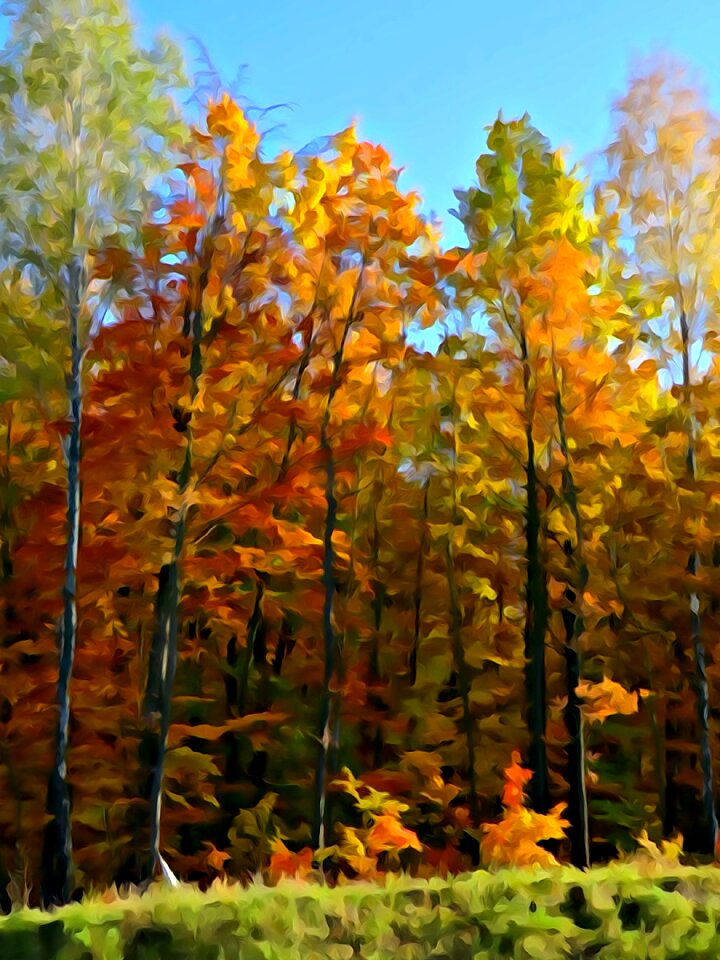 Autumn gold landscape Free illustrations