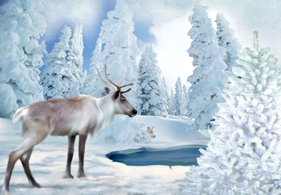 Snow winter lake