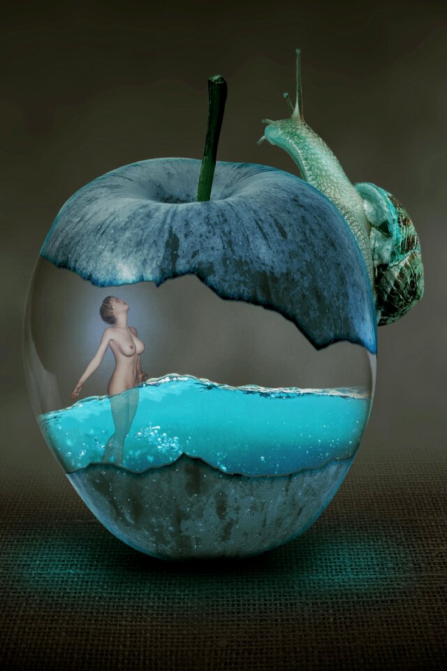 Snail slug water
