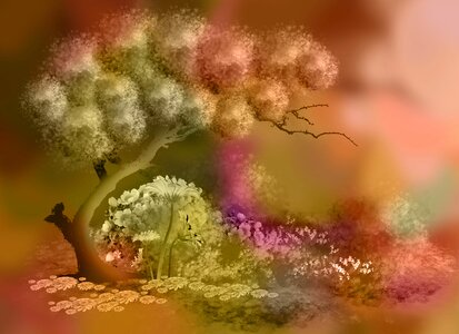 Plant bonsei Free illustrations