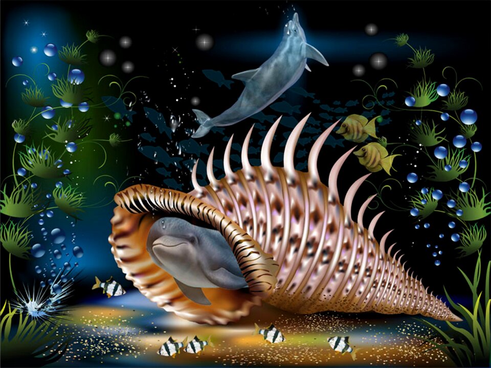 Shell sea Free illustrations
