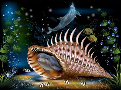 Shell sea Free illustrations