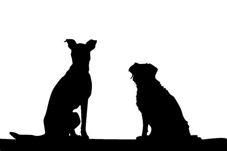Animals drawing profile