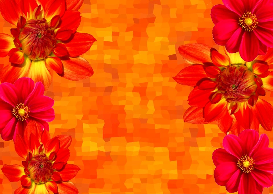 Orange fall color yellow