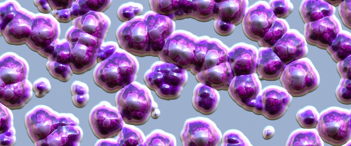 Cells biology Free illustrations