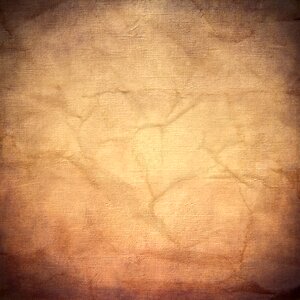 Background abstract brown background