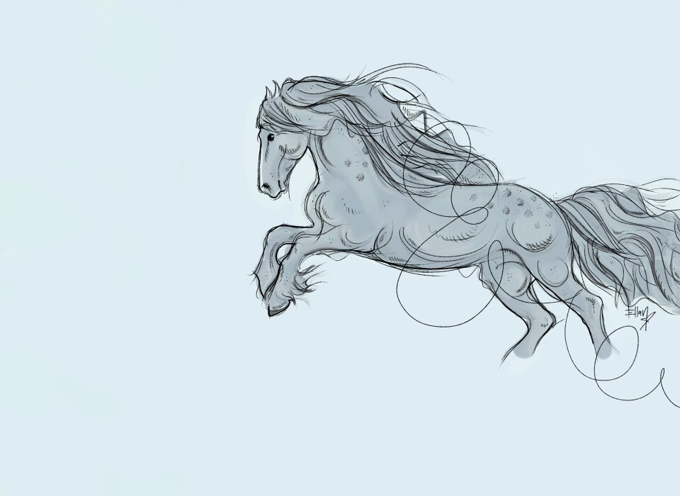 Gallop speed Free illustrations