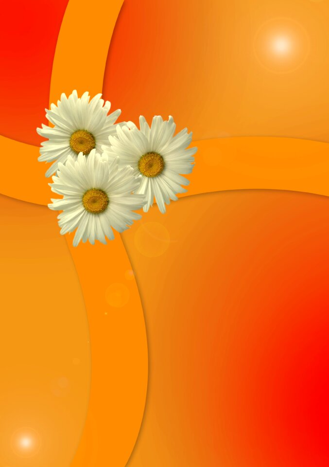 Decoration ornament marry