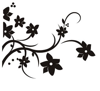 Default black white