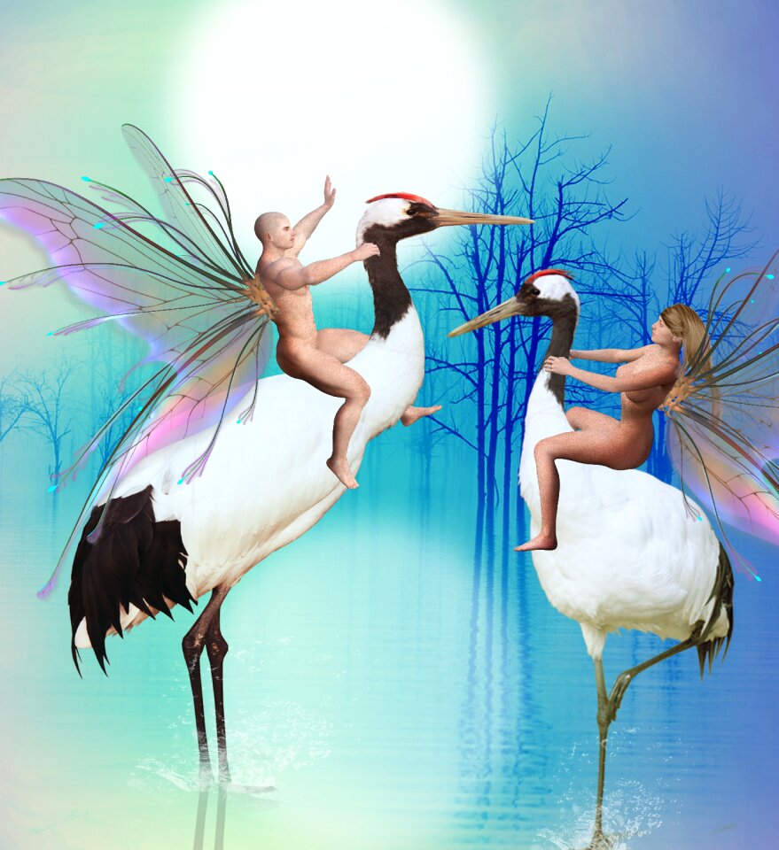 Magic fairytale dream