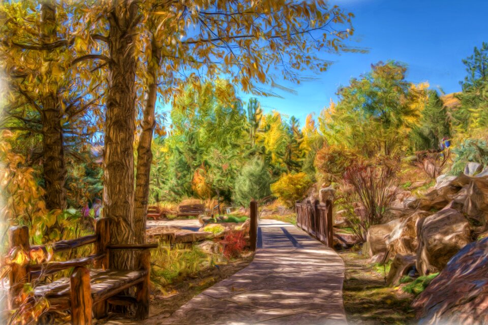 Landscape forest path benches