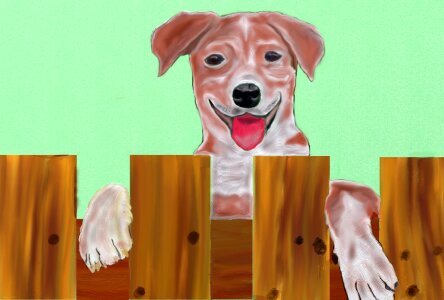 Hybrid dog snout head