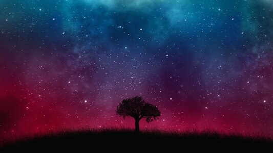 Cosmos tree background