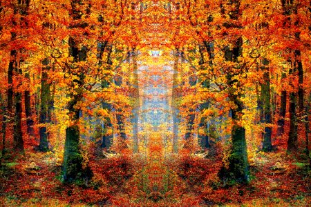 Autumn landscape landscape wood