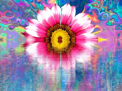 Nature plant colorful