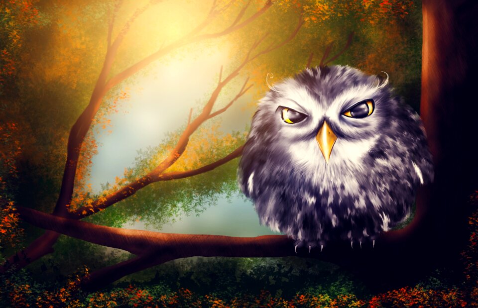 Sweet wise wood