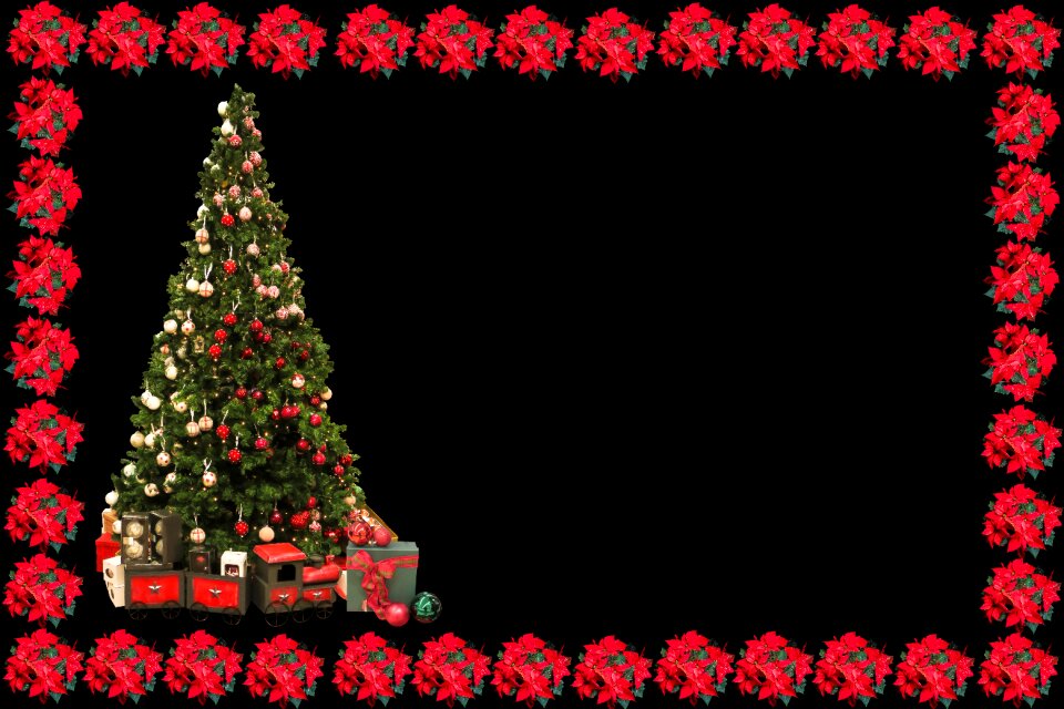 Christmas tree christmas card poinsettia