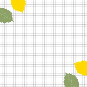 Squares sheet leaves