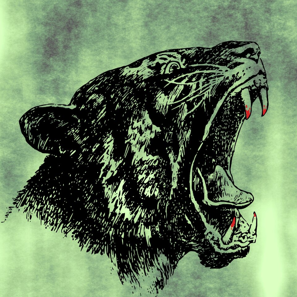 Nature wildlife mammal