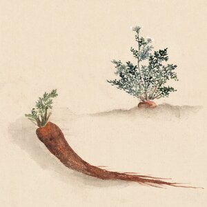 Painting vintage japanese