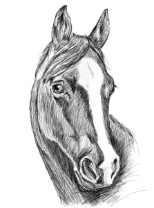 Black and white sketch animal