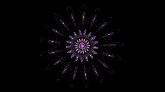 Pattern fractal art black art