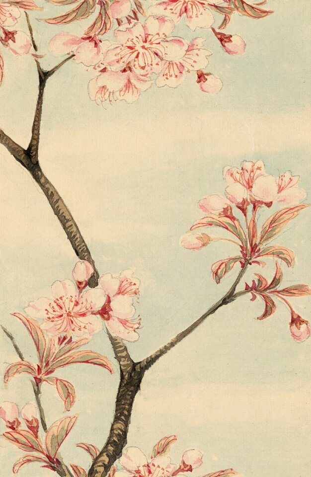 Painting print painted