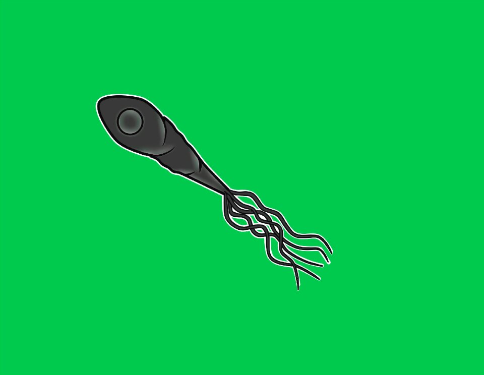 Micro-organism health Free illustrations