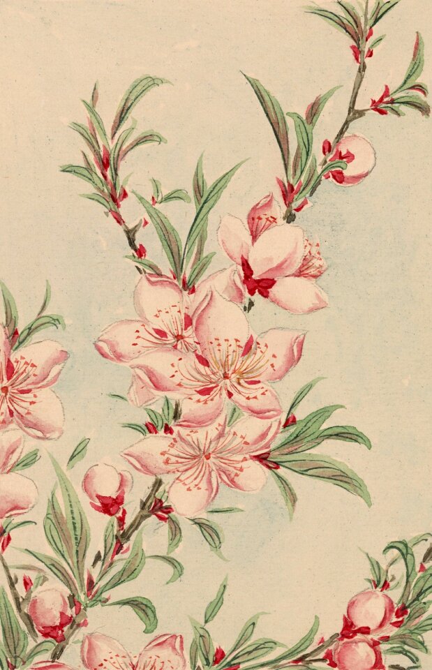 Painting vintage japanese